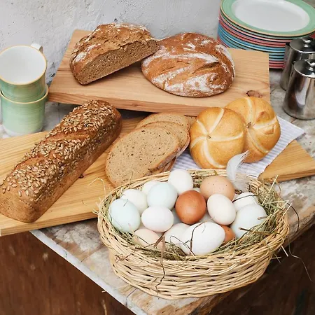 酒店 斯图本法尔酒店 尼德泰