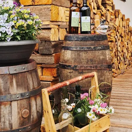 酒店 斯图本法尔酒店 尼德泰