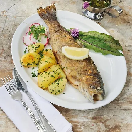 酒店 斯图本法尔酒店 尼德泰