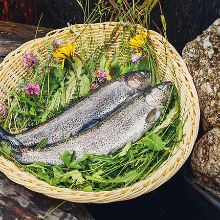 斯图本法尔酒店 3* 尼德泰