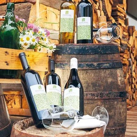 酒店 斯图本法尔酒店