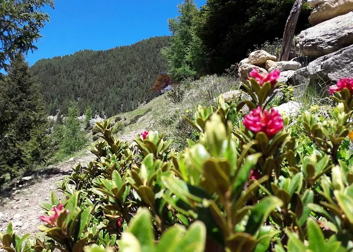 Stuibenfall فندق نيديرثاي