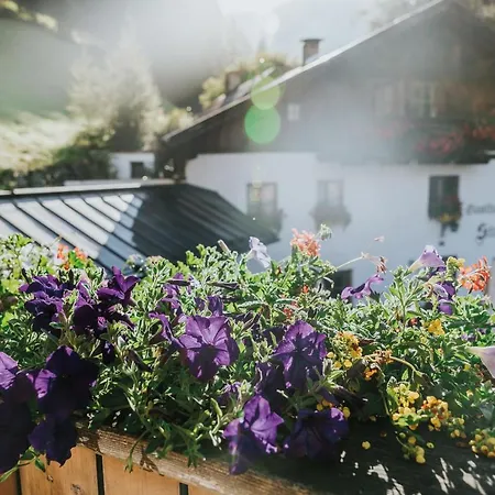 Hotel Stuibenfall Niederthai